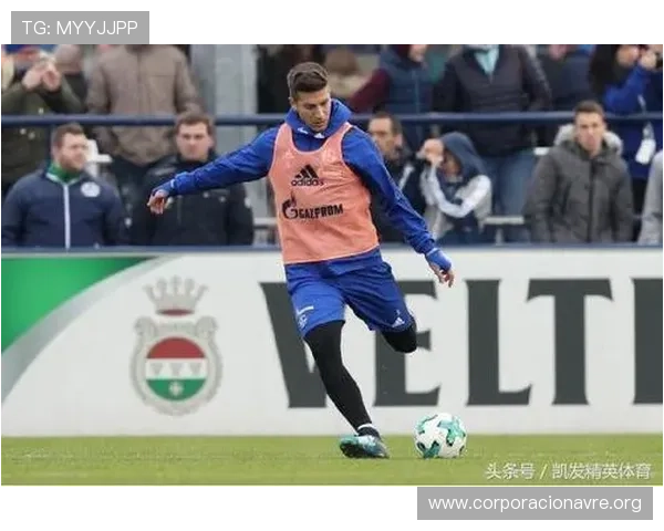 选择凯发体育在线登录官网，您将体验到极致的体育赛事直播