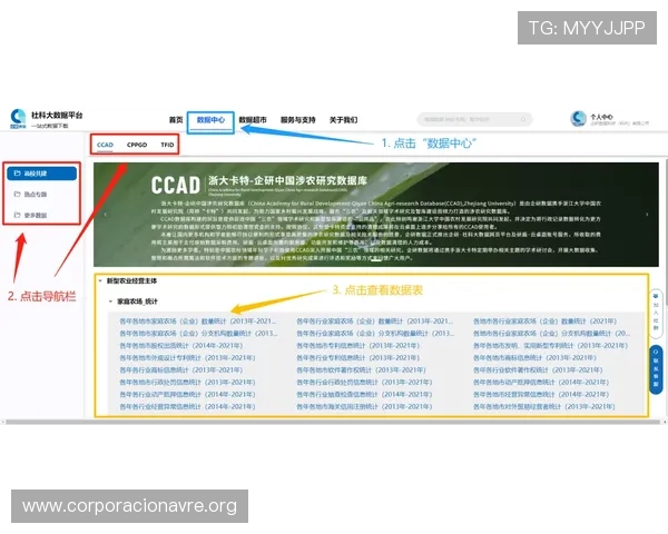 凯发体育集团网址查询流程详解让新手玩家轻松进入官方平台