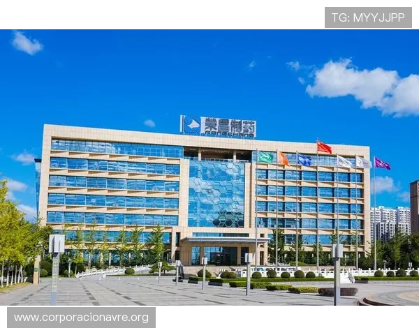 凯发集团官网登录入口官方平台，解决下载过程中遇到的常见问题与技术支持